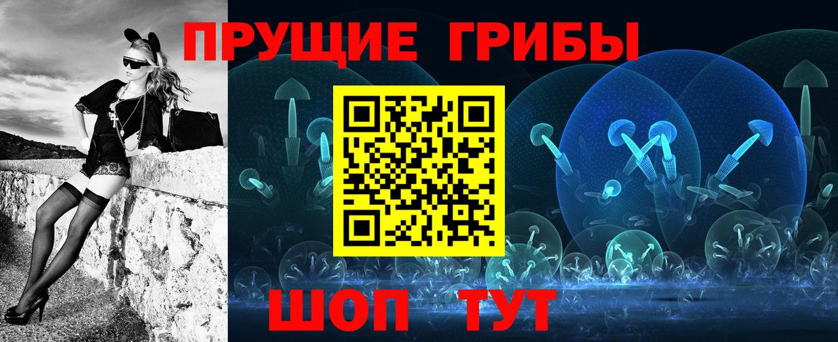 Псилоцибиновые грибы мицелий Ейск